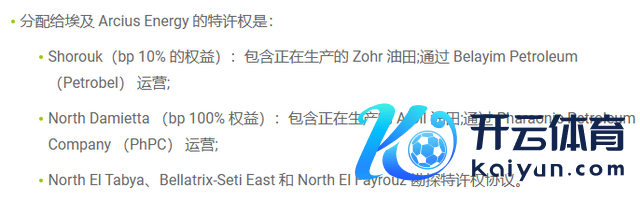 Arcius Energy在埃及的特准权。起头：BP官网