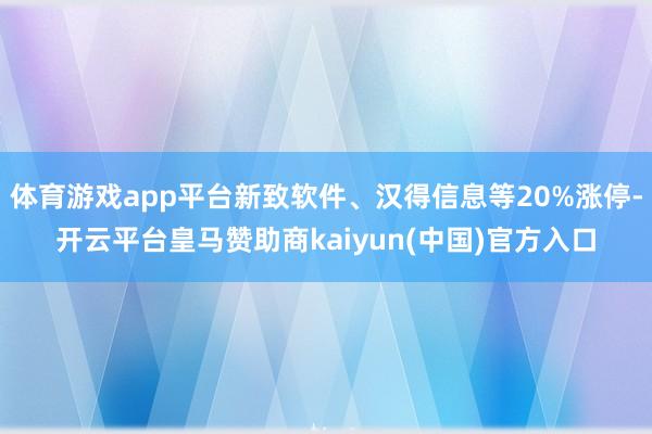 体育游戏app平台新致软件、汉得信息等20%涨停-开云平台皇马赞助商kaiyun(中国)官方入口