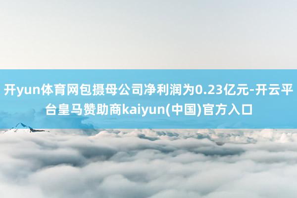 开yun体育网包摄母公司净利润为0.23亿元-开云平台皇马赞助商kaiyun(中国)官方入口